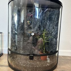 20 Gallon Terrarium