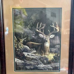 Beautiful Deer Wall Art