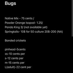 Reptile Feeders and Bioactive supplies