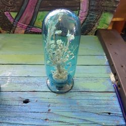 Bottle With Dried Plants Inside 