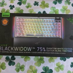 Razer Blackwidow Gaming Keyboard