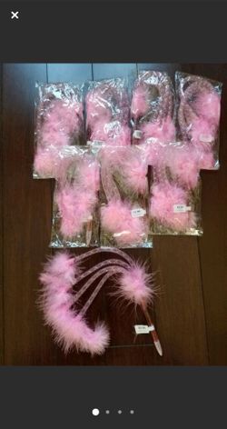 Pink Feather Pens