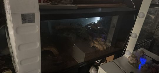 40 Gallon Tank