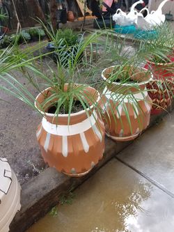 Masetas