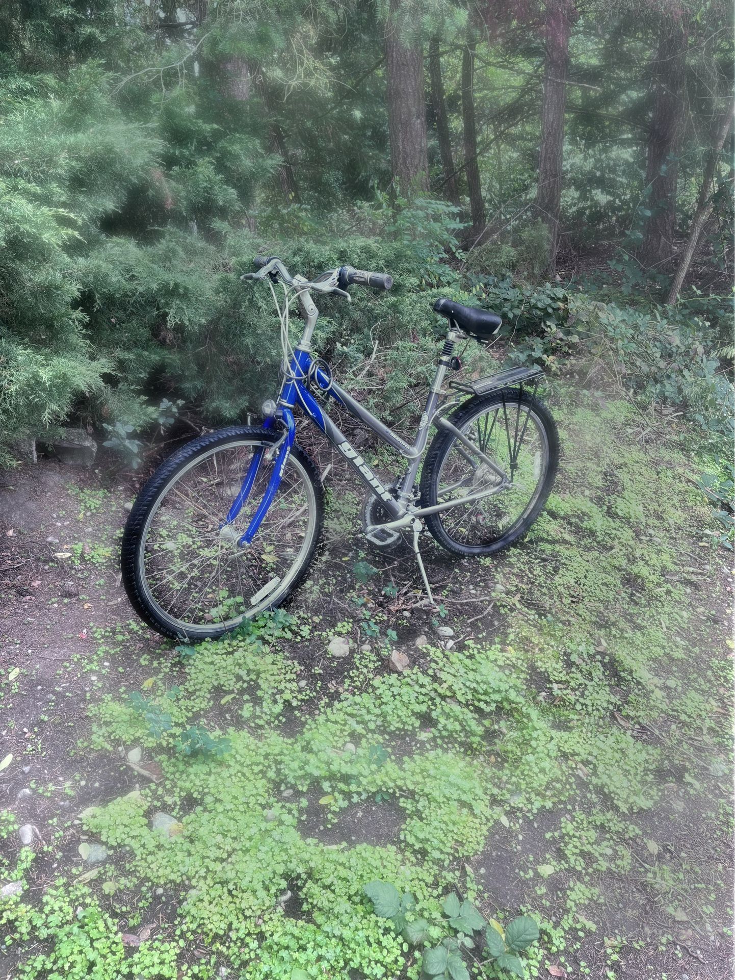 Giant Bike No Issues At All