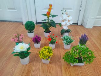 11 Artificial plant's  Negotiable