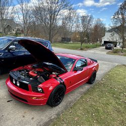 2008 Ford Mustang