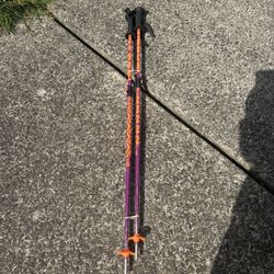 Ski Poles