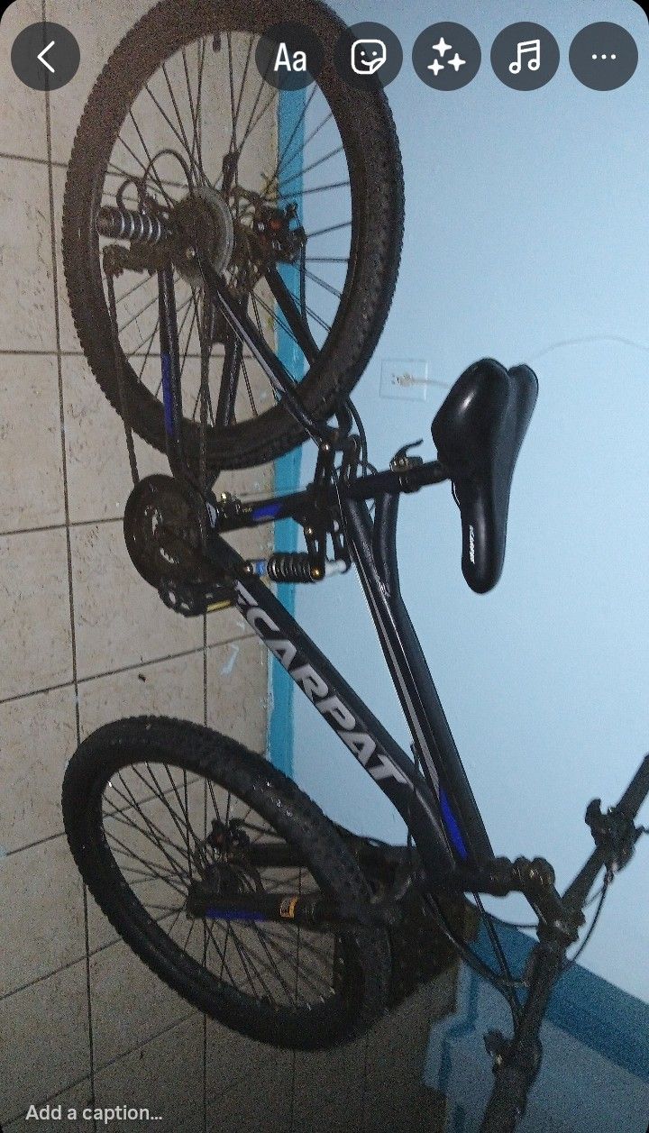 Mountain Bike