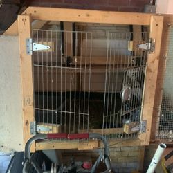 36 X 36 Rabbits Cage Custom-Made Must Sell Asking 100 Bucks Or Best Offer