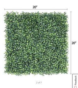Hedge