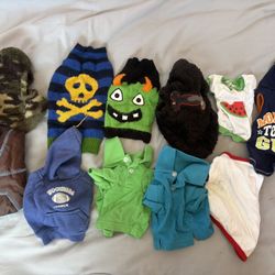 Size XS/S Dog Accessories Bundle 