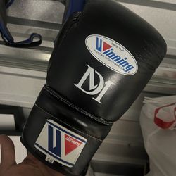 Winning Boxing Gloves 