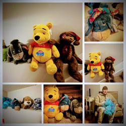 Disney Plush And Collectibles, Bear Stuffed Animals 