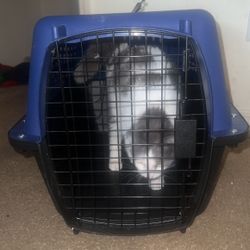 Cat Cage 