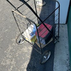 Push Cart 