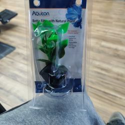 Betta Filter With Natural Plant