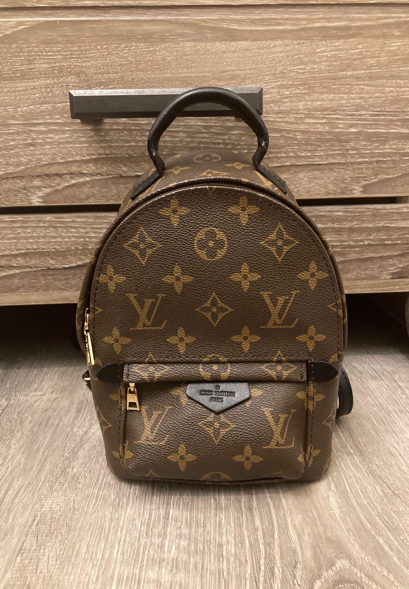 Louis Vuitton Palm Springs Mini BackPack Authentic LV