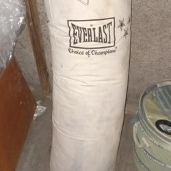 Sinis modder Smelten 100 Lb Everlast Canvas Heavy Bag for Sale in Hammond, IN - OfferUp