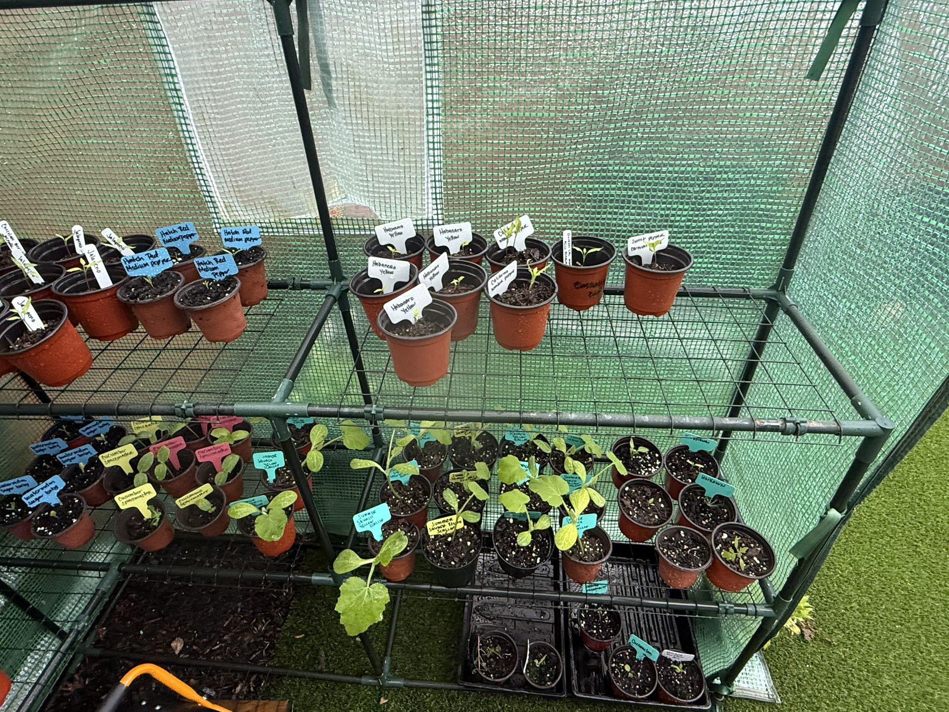 Plants, Garden Supplies And Small Business Merchandise ❤️