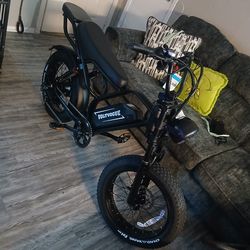 E bike