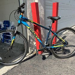 Revel Giant bike