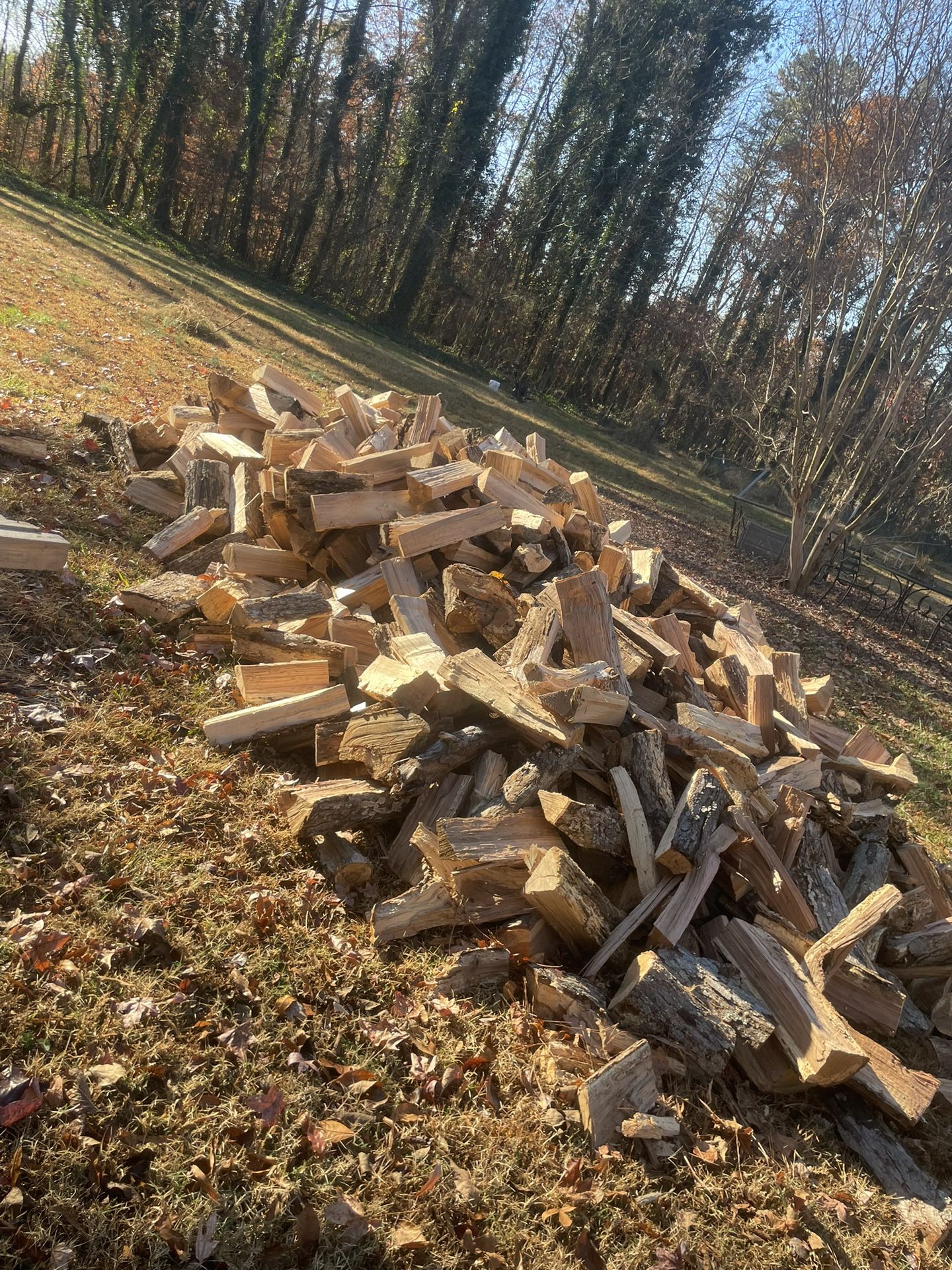 Firewood