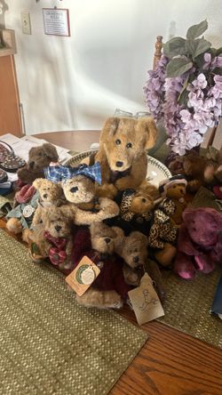 Boyd Bears