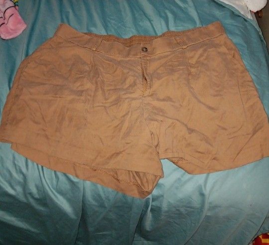 Torrid Brown Shorts