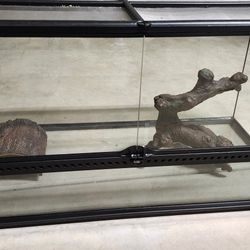 40 GALLON TERRARIUM - USED - $75
