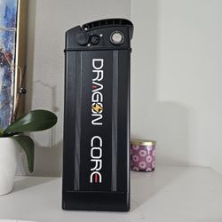 E Bike Battery Replacement 