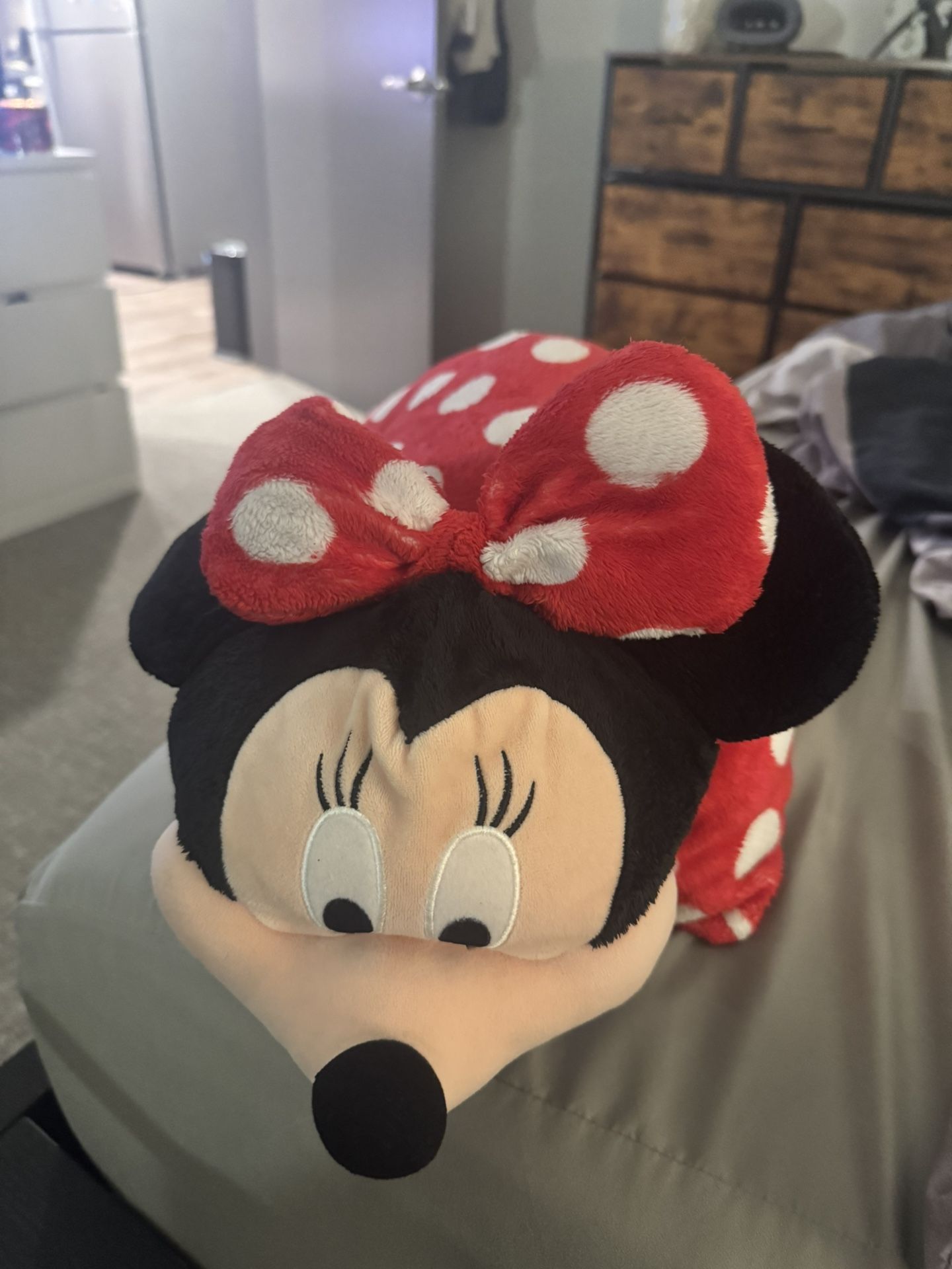 minnie pillow pet :)