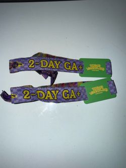 Beyond Wonderland 2026 (SUNDAY GA+)$175-EACH