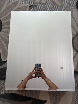 Mirrored Medicine Cabinet