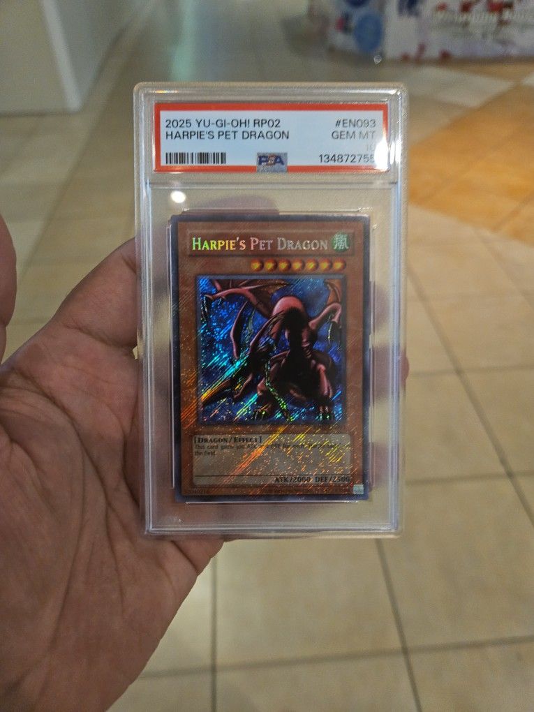Gem Mint Psa 10 Harpies Pet Dragon