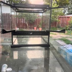 Reptile Tank