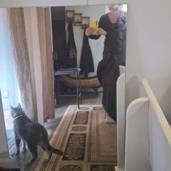 2'.5" X 4' Mirror (Big Chip At Bottom Left)