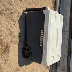 Igloo