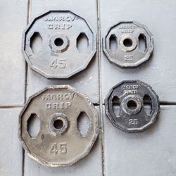 Two 45s and Two 25s Weights