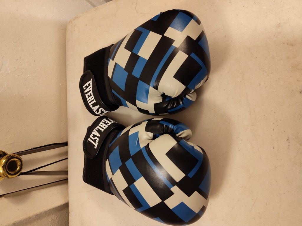 Boxing Gloves $20