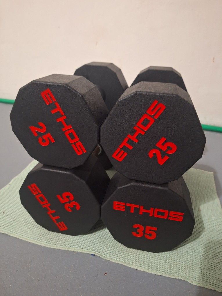 Ethos 25 And 35 Lbs Dumbbell Set