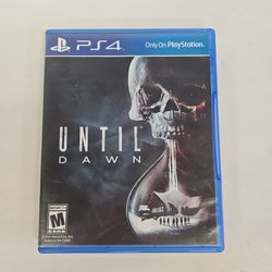 Sony PS4 PlayStation 4 Until Dawn P816675-S4