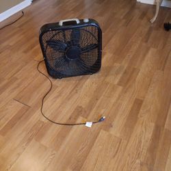 Fan