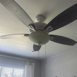 Ceiling Fan 