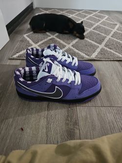 Purple Lobster Sb Dunks "THEY'RE REPS"
