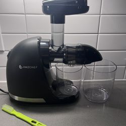 AMZCHEF Slow Juicer