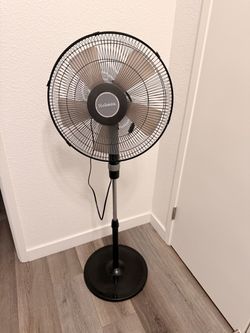 Holmes fan