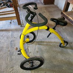 Alinker Walking Bike 