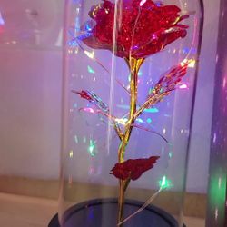 Mother's Day Beauty and the Beast Red Rose In Crystal Clear Dome