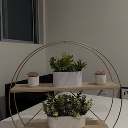 Hanging Shelf with Fake Plants!